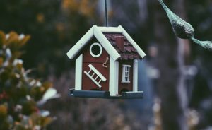 Best Real Estate Investment Companies In Chennai.jpg